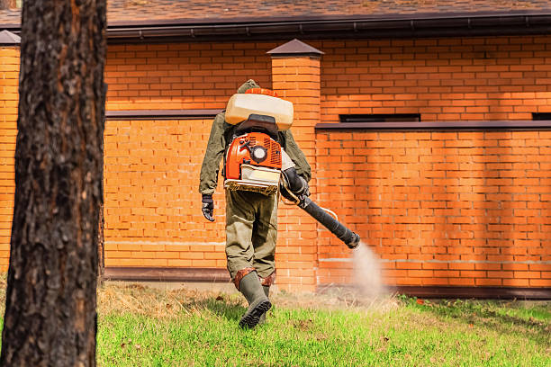 Trusted Rodent Control service in Fairplay, GA - Nex Pest Control